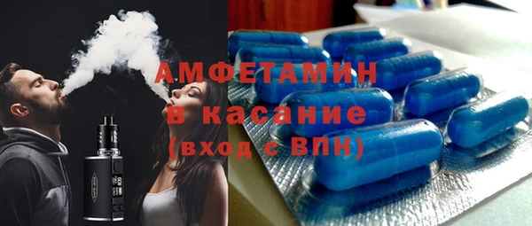 гашик Горняк