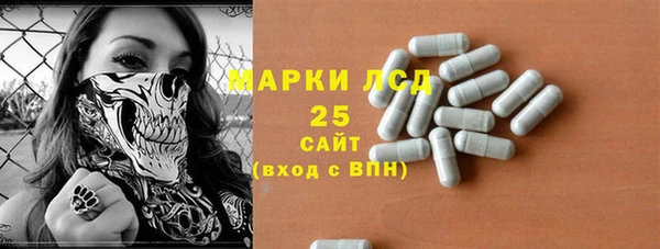 гашик Горняк