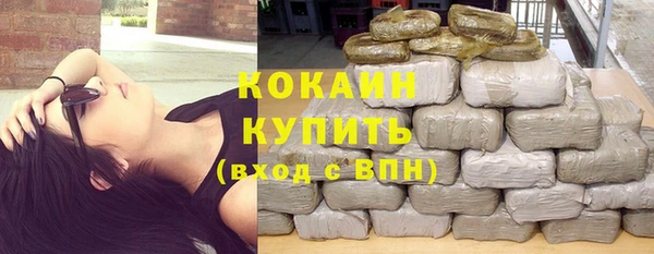 гашик Горняк